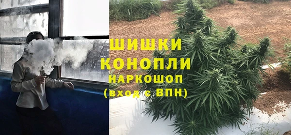 сатива Армянск
