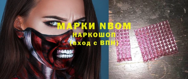 прущие грибы Алзамай