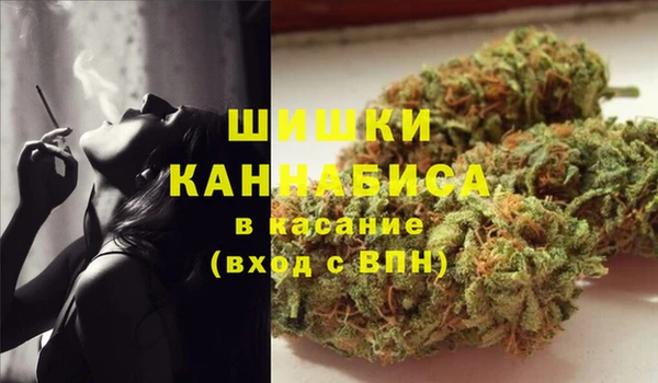сатива Армянск