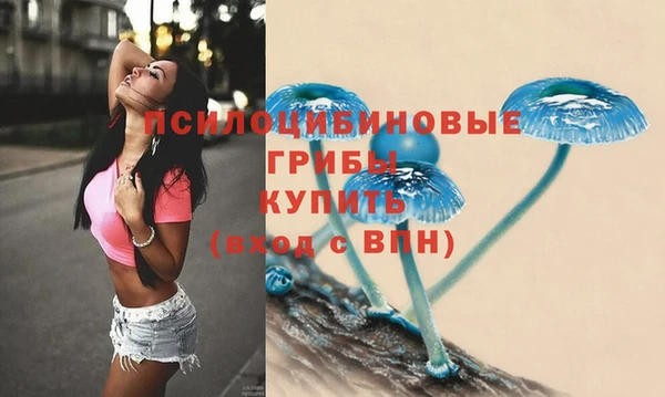 прущие грибы Алзамай