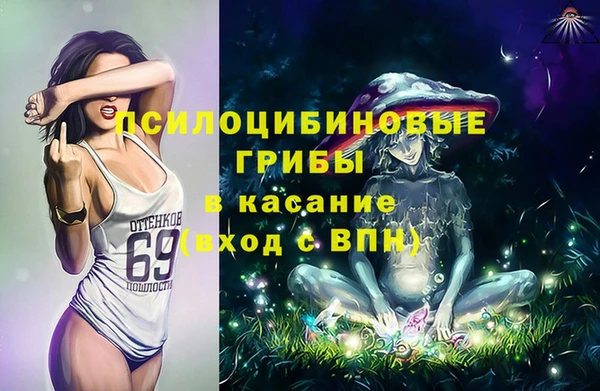 крисы Алексин